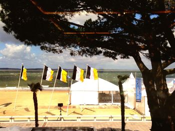 View of trees by sea