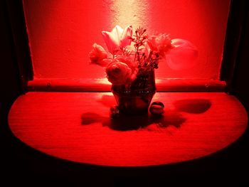 Close-up of red rose in vase