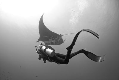 Person scuba diving undersea