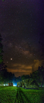 Scenic view of field against sky at night