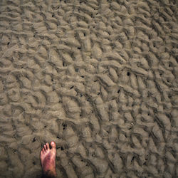 Low section of person standing on beach