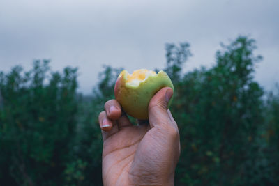 Close-up of hand holding apple