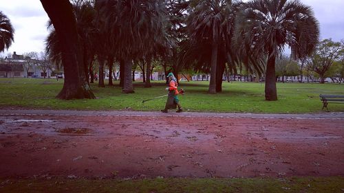 Bird on tree trunk in park