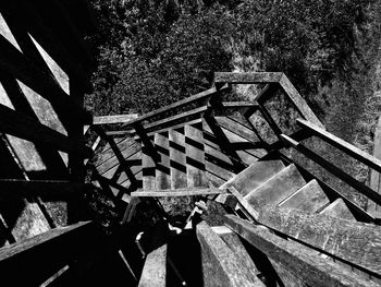 High angle view of steps amidst trees