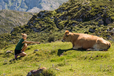 Woman giving a flower to the cow laying in the green field