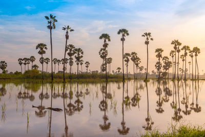 Scenic view of lake against sky