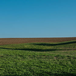 Scenic view of field against clear blue sky