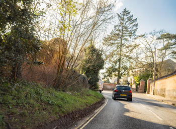 Cars on road by trees in city