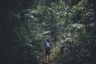 Woman standing in forest