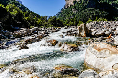 Stream flowing through rocks in forest