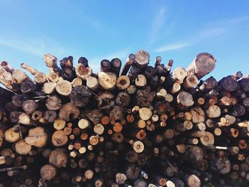 Stack of logs against sky