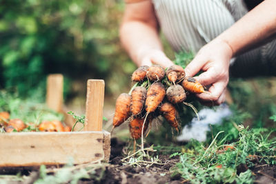 Close-up of hand holding food