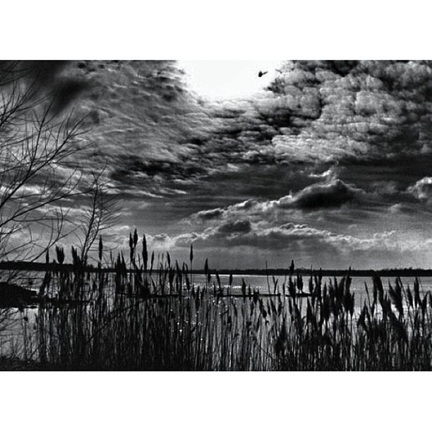 sky, sea, transfer print, horizon over water, tranquility, auto post production filter, tranquil scene, water, beach, nature, plant, cloud - sky, grass, scenics, beauty in nature, shore, cloud, sand, growth, cloudy