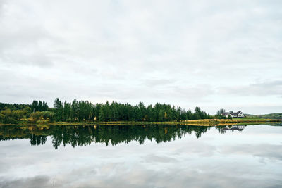 Grove on lake shore at countryside