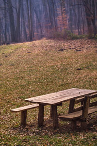 Wooden bench on field in forest