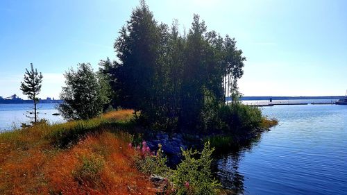 Trees by lake against clear sky