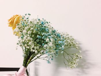 Close-up of flower bouquet against white background