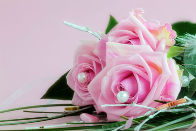 Close-up of pink rose against gray background