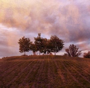 Scenic view of field against cloudy sky