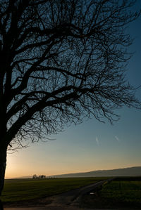 Silhouette bare tree by road against sky during sunset