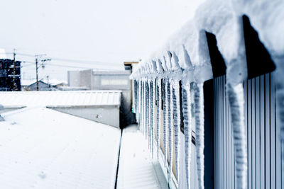 Close-up of icicles on snow covered building