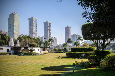 Trees and buildings against clear sky