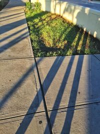 High angle view of footpath by railing on sunny day