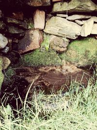 Close-up of stone wall