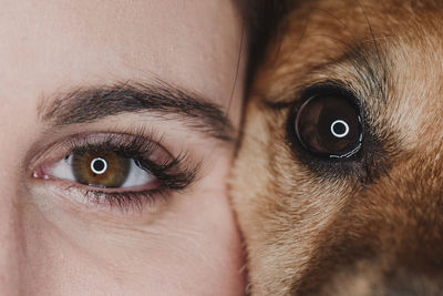 Close-up portrait of dog and woman against black background