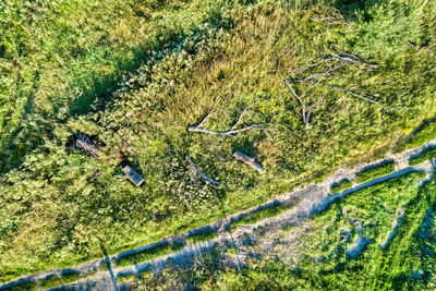 High angle view of green landscape