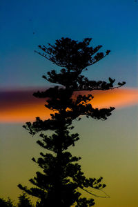 Low angle view of silhouette tree against sky at sunset