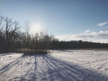 Bare trees on snow covered field against sky