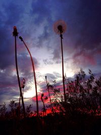 Low angle view of silhouette trees against sky at sunset