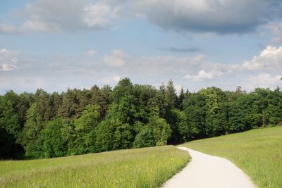 Scenic view of trees against sky
