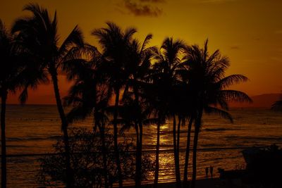 Silhouette palm trees on beach against sky during sunset