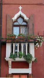 Potted plants on the wall