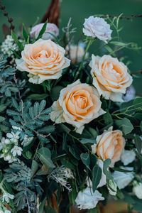 Close-up of pink flowers