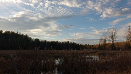 Scenic view of landscape against cloudy sky