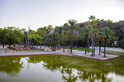 Palm trees by swimming pool against sky