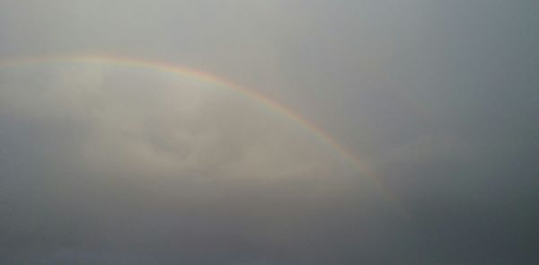 Scenic view of rainbow over trees