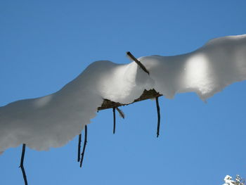 Low angle view of clear blue sky