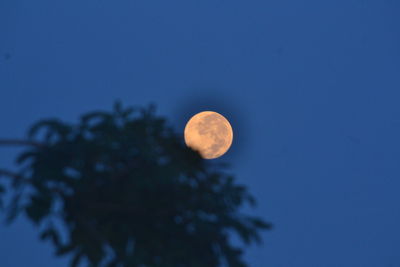 Low angle view of moon against clear sky at night