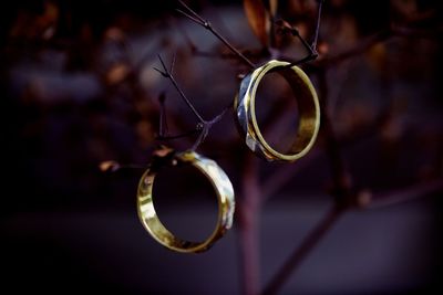 Close-up of wedding rings on plant