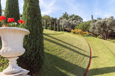 View of flowering plants in park