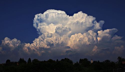 Low angle view of trees against cloudy sky