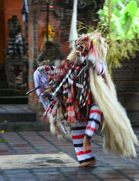 Artist in costume performing traditional dance