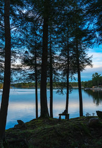 Trees at lakeshore against sky