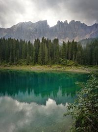 Reflection of trees in lake against sky