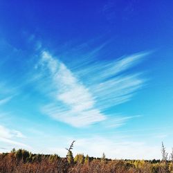 Beautiful autumn landscape. beauty and harmony of nature. dry grass.