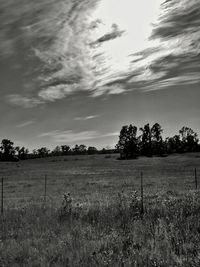 Scenic view of grassy field against sky